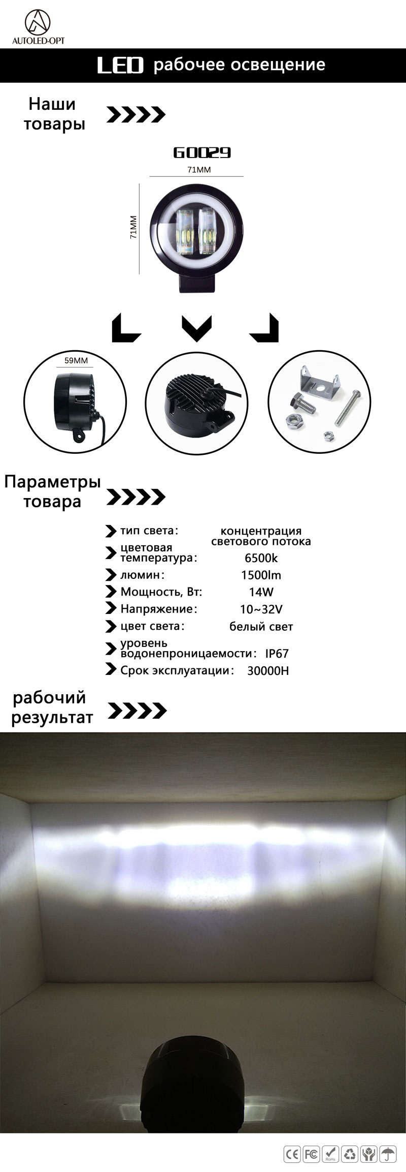 G0029